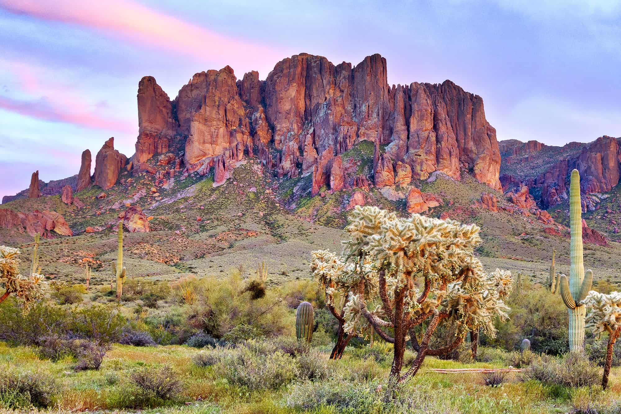 Arizona desert landscape